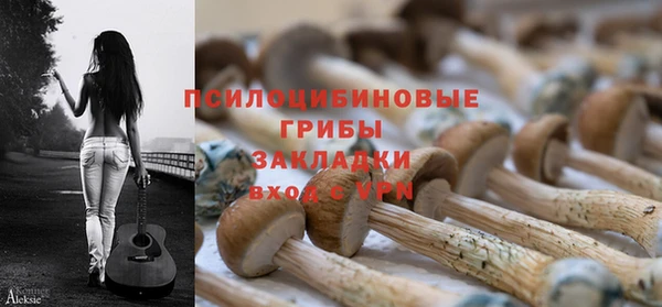 jwh Аркадак