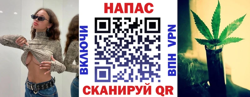 Купить  Суджа  Марихуана SATIVA & INDICA 